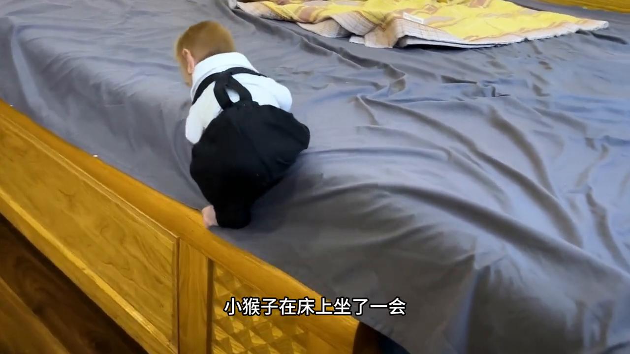 小猴子被突如其来的状况吓到了,小猴子生病太严重了