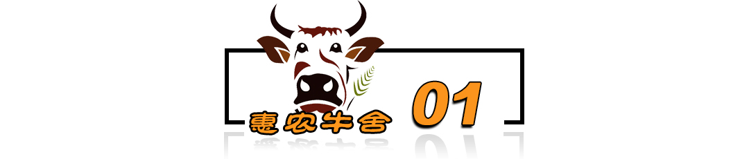 泥鳅养殖病害防治方案,养殖泥鳅易出现的病害