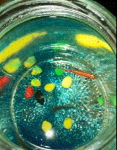 坐高铁遇到旁边老阿姨脱鞋,坐高铁遇到旁边阿姨脱鞋