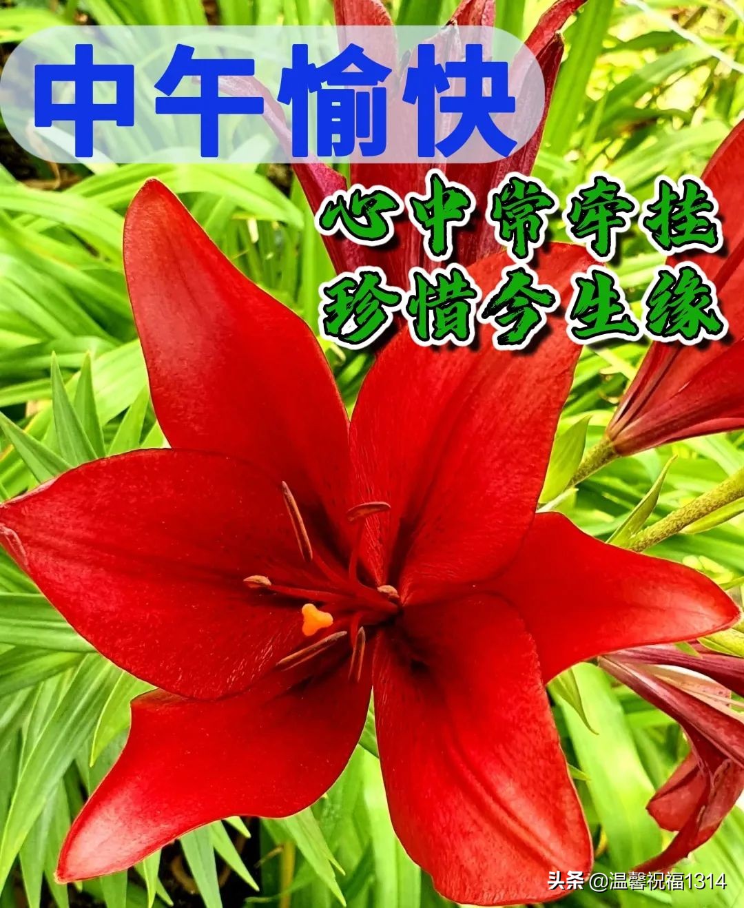 7月12日早安温馨问候语,7月1日清晨祝福语