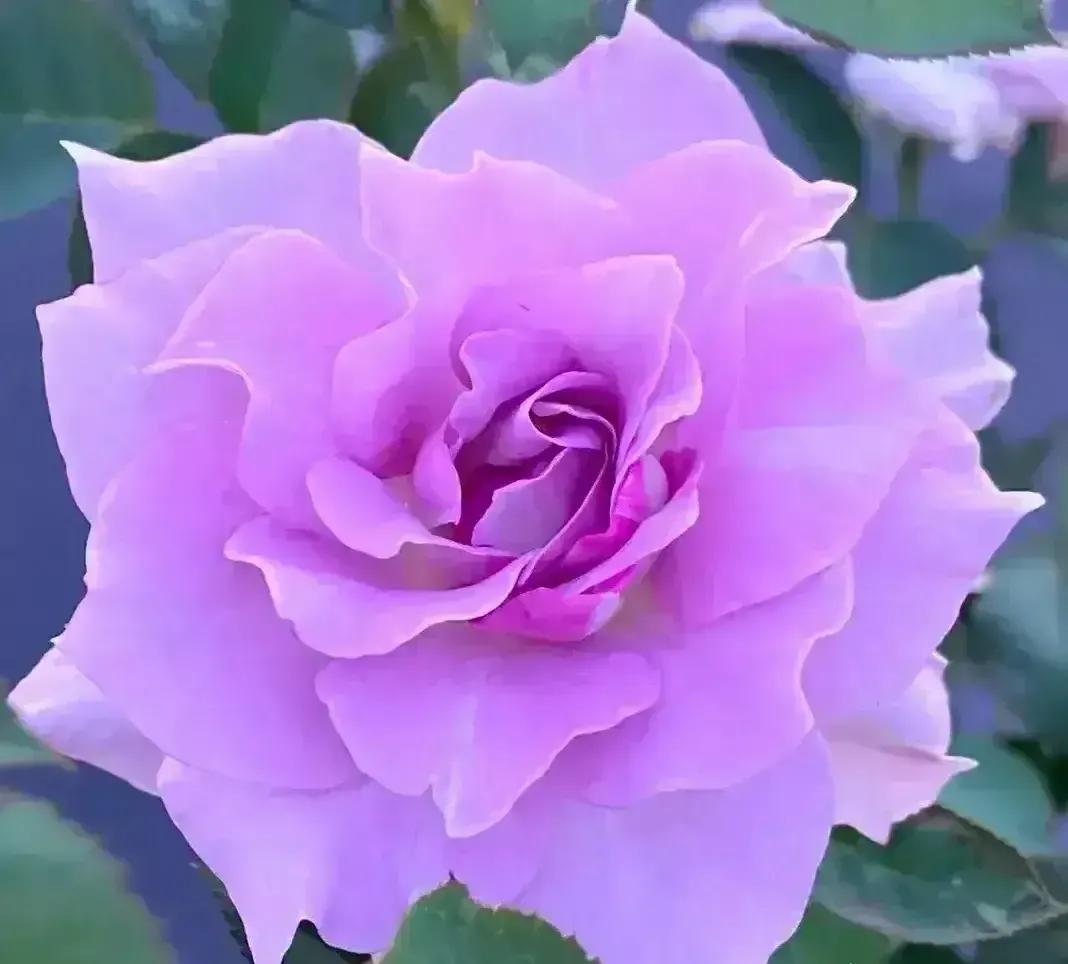 头条新手创作注意事项,头条创作注意哪些事项