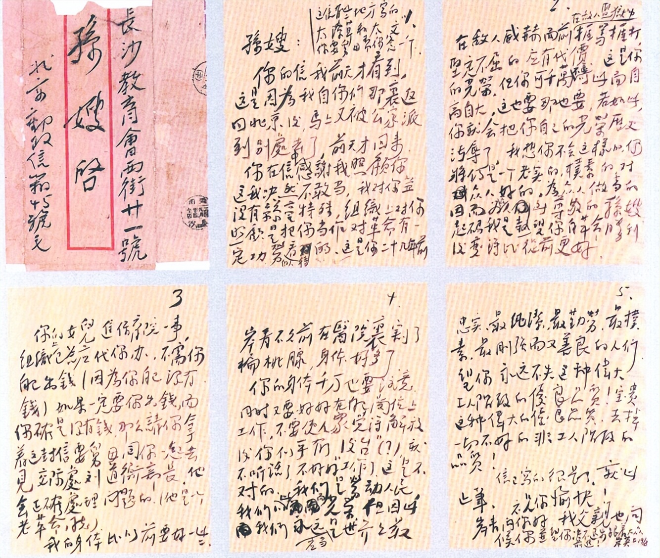 罕见！毛岸英亲自填写的履历表，满满的感动，字迹有“毛体”笔意