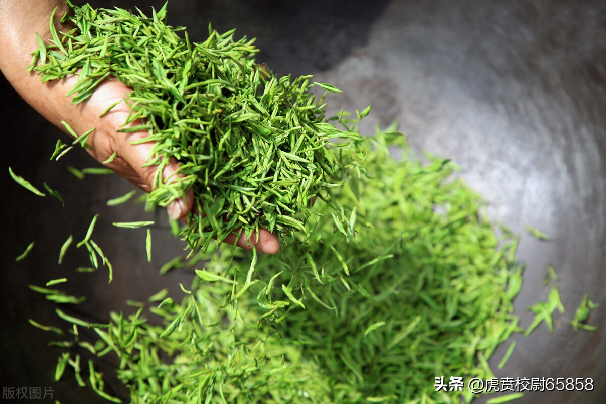 买茶的三大误区,买茶一定要避开的四个坑