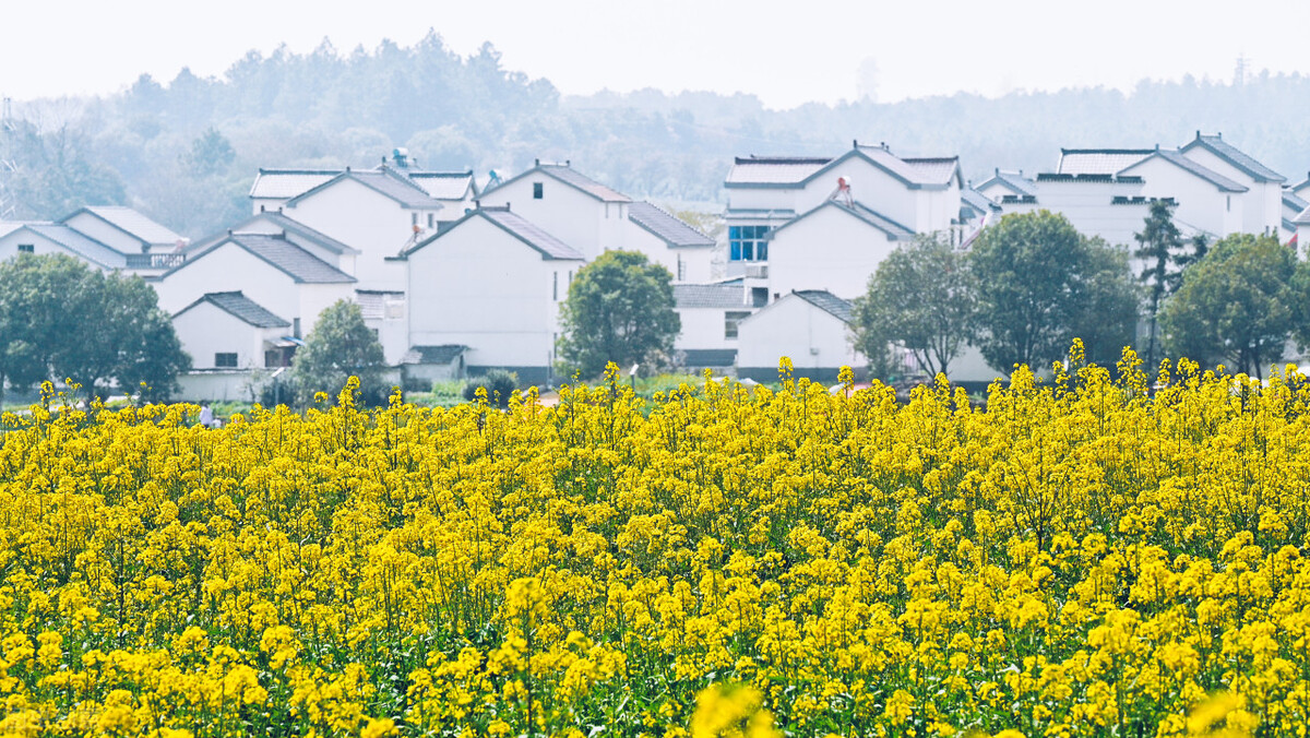 南京可以露营看星星的地方,南京附近自驾游2-3天露营推荐