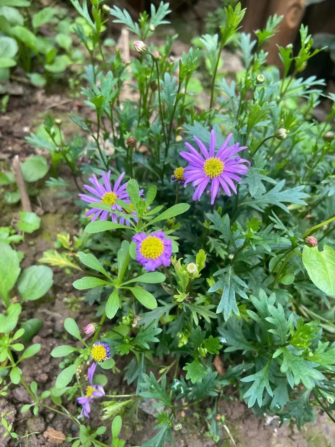 38有什么含义,38含义和寓意是什么