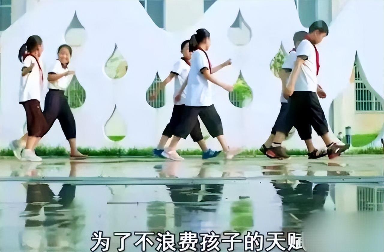 12岁上浙大的陈舒音近况,陈舒音13岁高考得620分