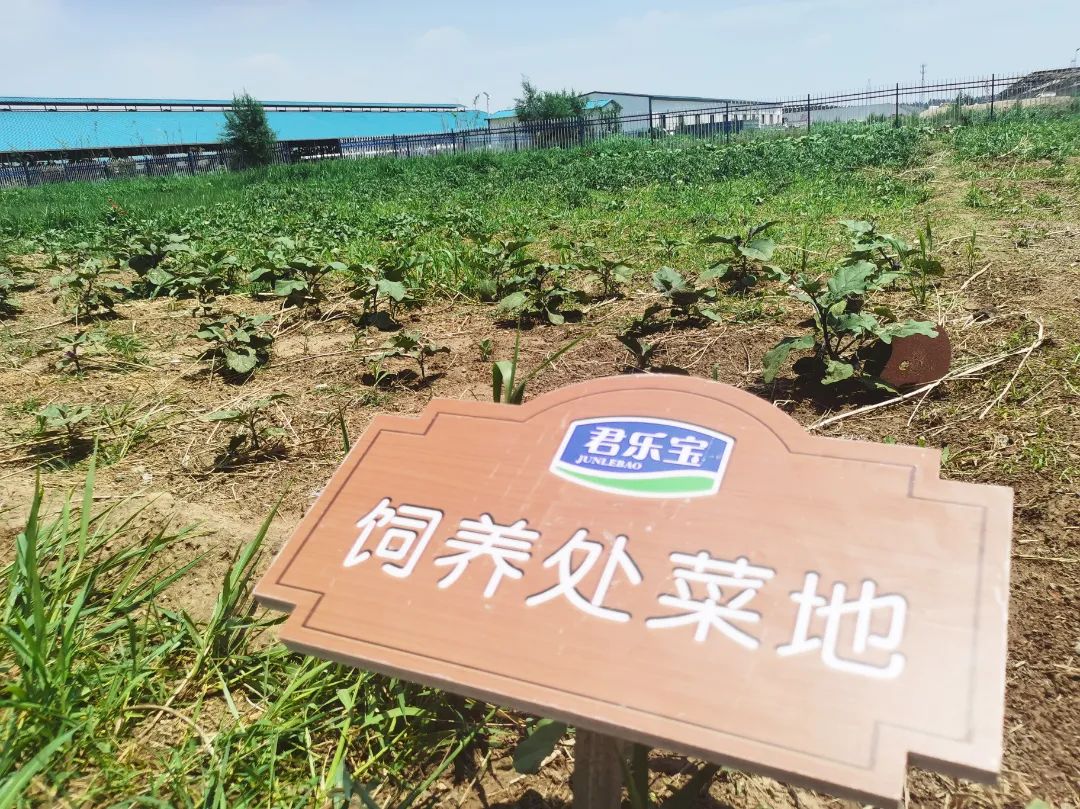 君乐宝威县乐源君享,君乐宝农场纪录片