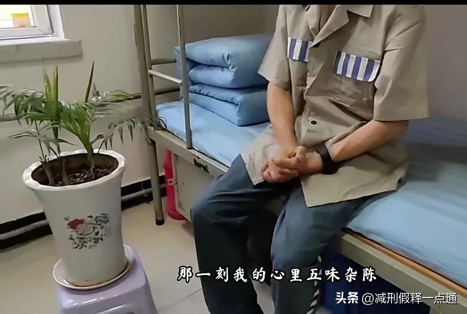 未满十八岁在监狱如何服刑,20岁判刑的人