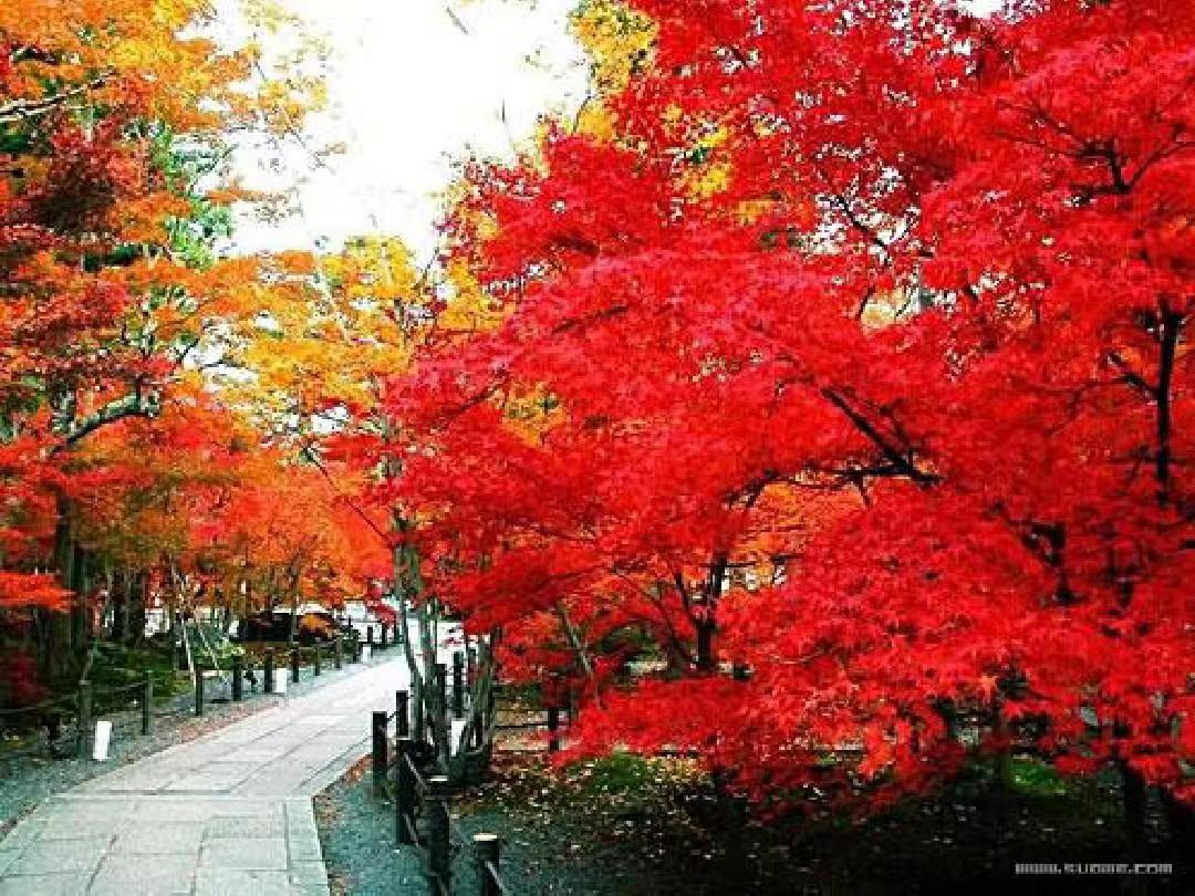 打好“医药代购牌”：长沙康多多乘势而上奏响“振兴曲”