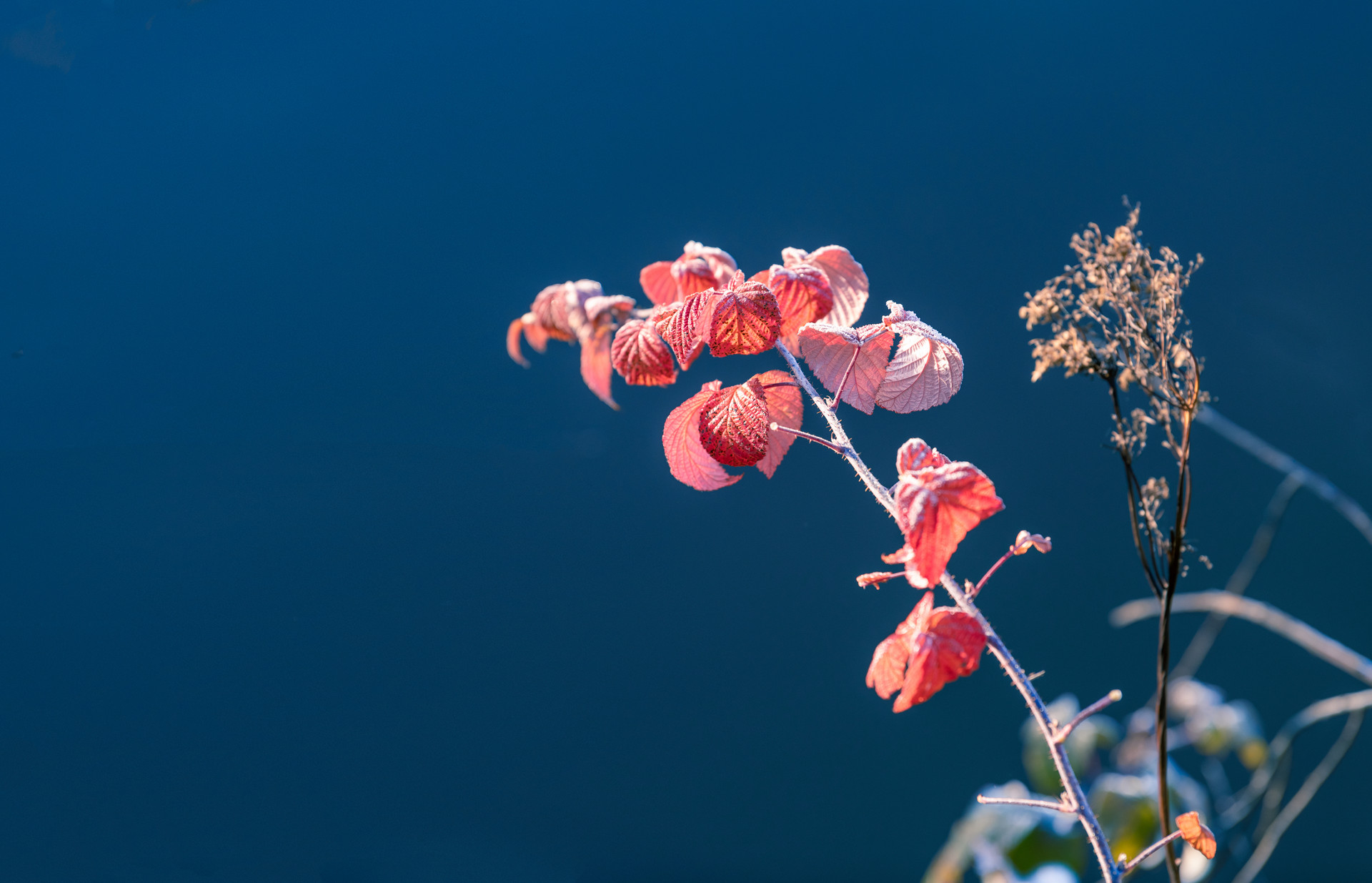 三年的婚外情人怎么放下,放不下一个婚外的男人怎么办