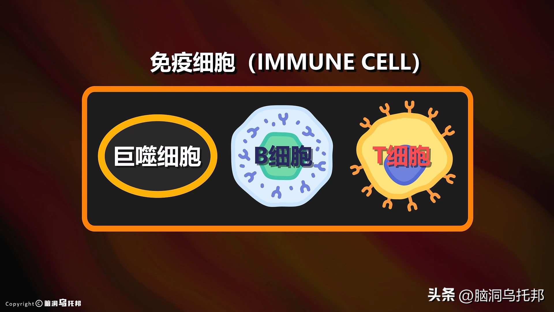 无症状感染是因为体质差吗,为什么有的人感染症状轻