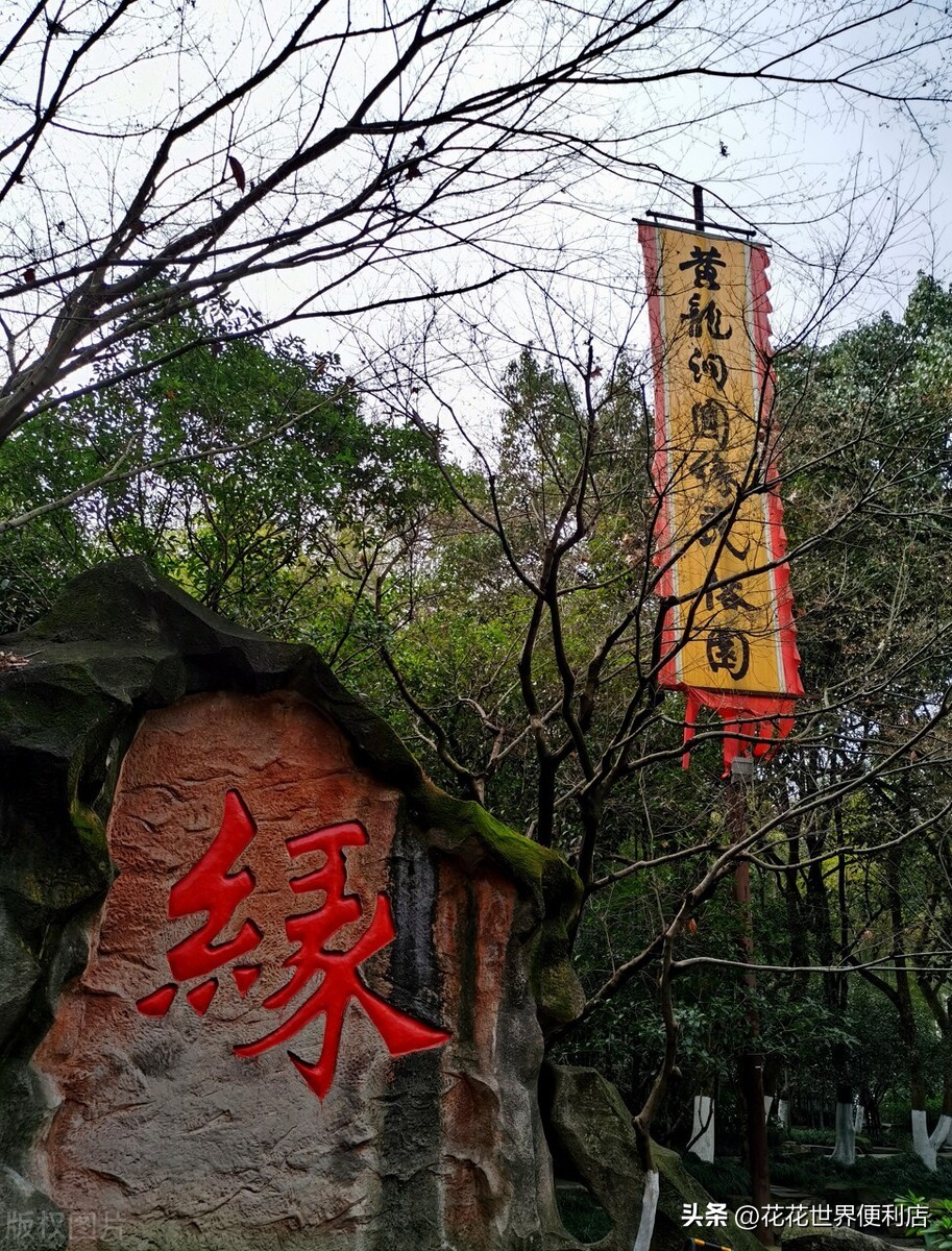 杭州旅游攻略必去景点大全最新,浙江杭州旅游攻略必去景点排名