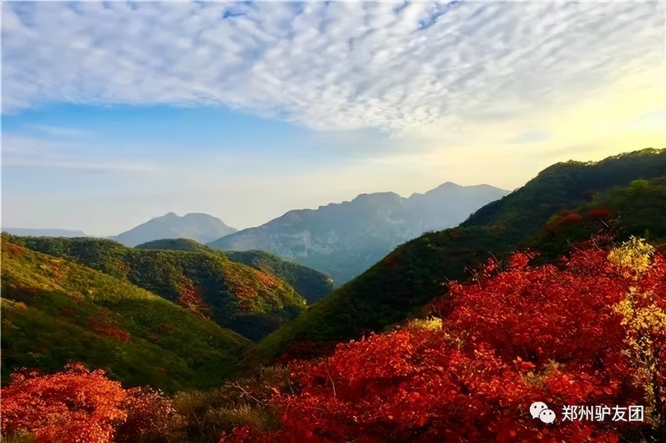 郑州最近赏红叶最佳的地方,靳家岭红叶和长寿山红叶哪个好看
