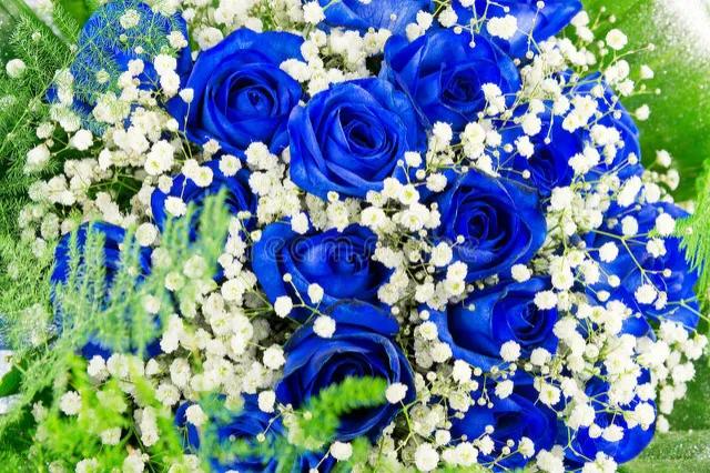 七夕应该送什么样的玫瑰花,七夕情人节适合送红玫瑰吗