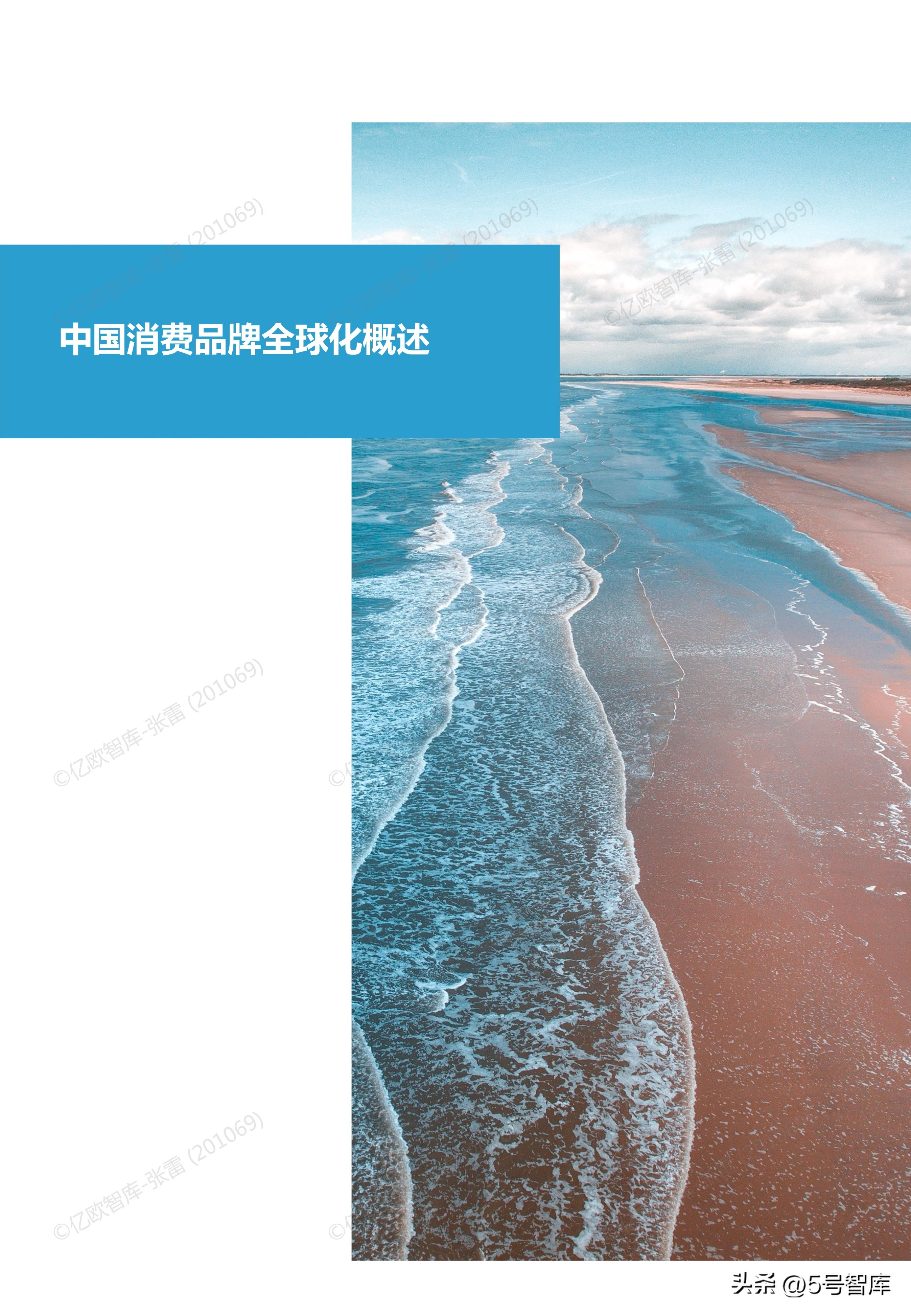 中国消费品牌研究报告,2021中国消费品牌分析报告