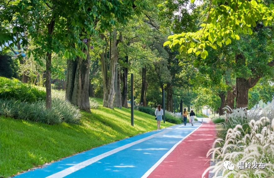 温岭体育公园最新进展,温岭刚建的体育公园