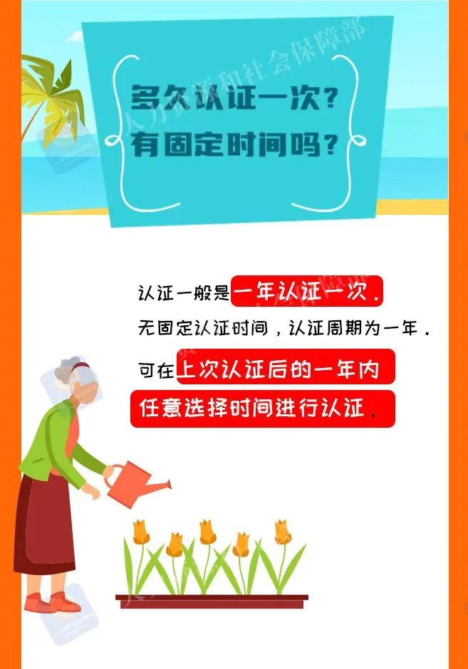 待遇领取认证信息查询,待遇领取认证手机怎么操作