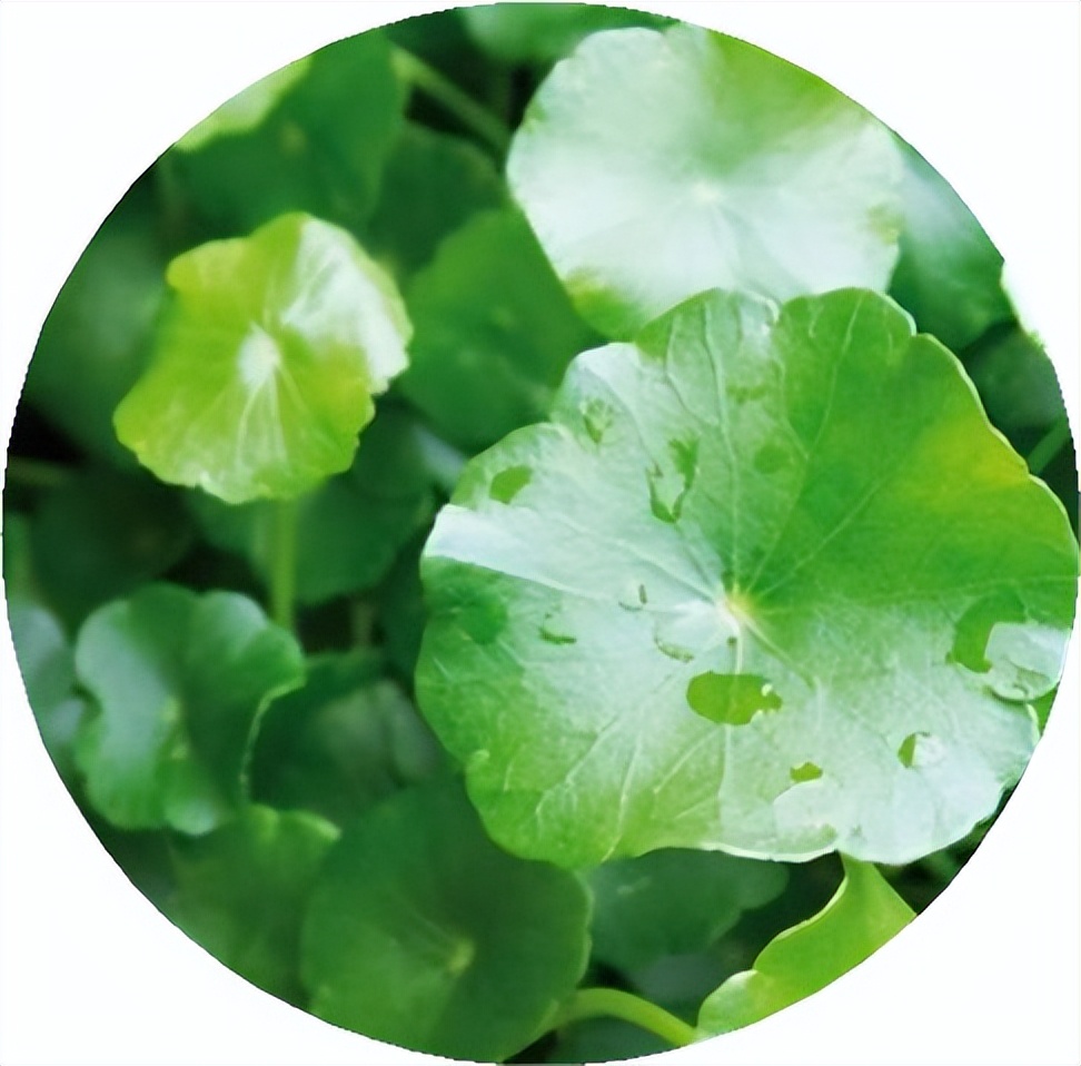 2022年国际护肤品牌成分排名,强效补水护肤品成分测评