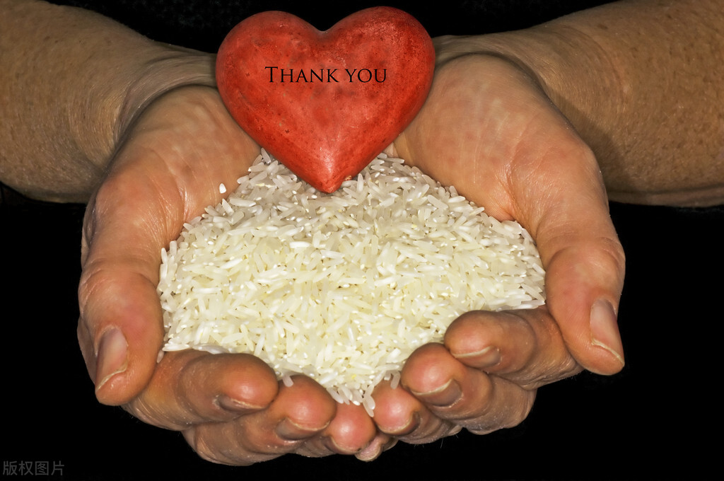 国内的泰国香米是真的吗,泰国香米是真的还是假的