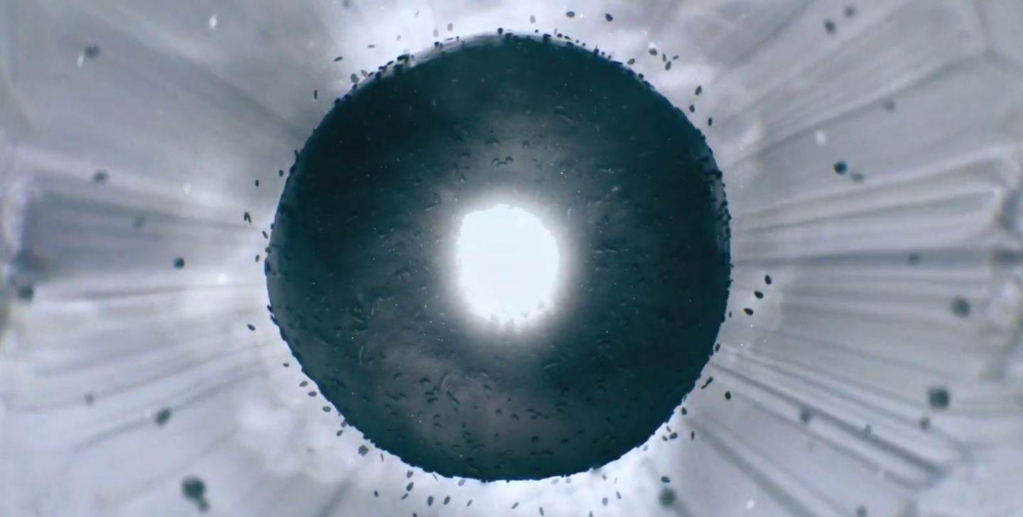 瞬息全宇宙——美国亚裔版的你好，李焕英