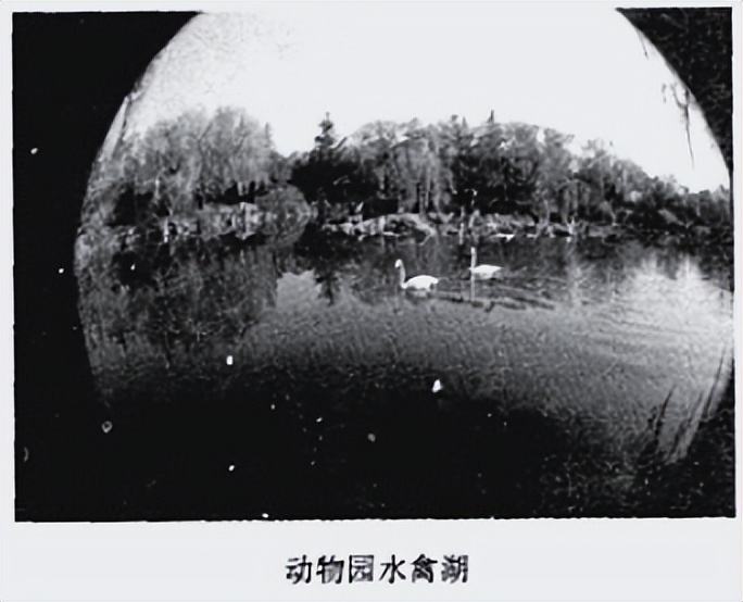 淮安动物园位置,淮安动物园多大面积