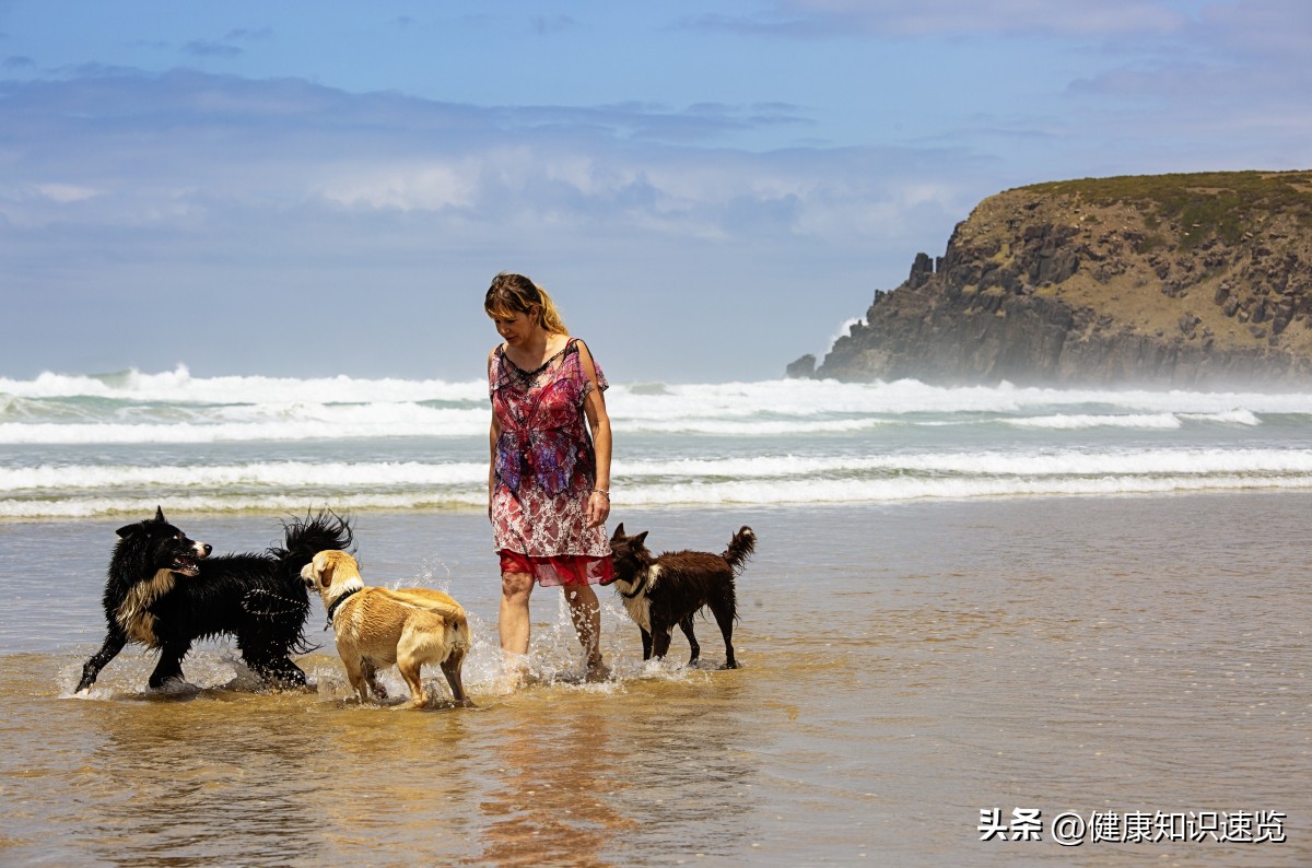 吃饱了撑得慌怎么解决,吃饱了撑的难受怎么消化