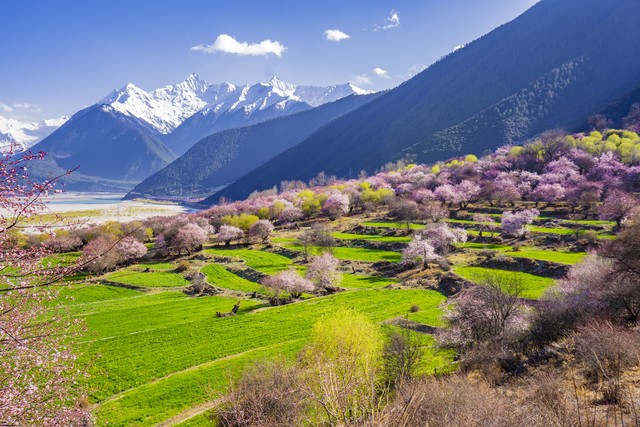 手机做出来的视频不清晰怎么办,手机视频不清晰如何解决