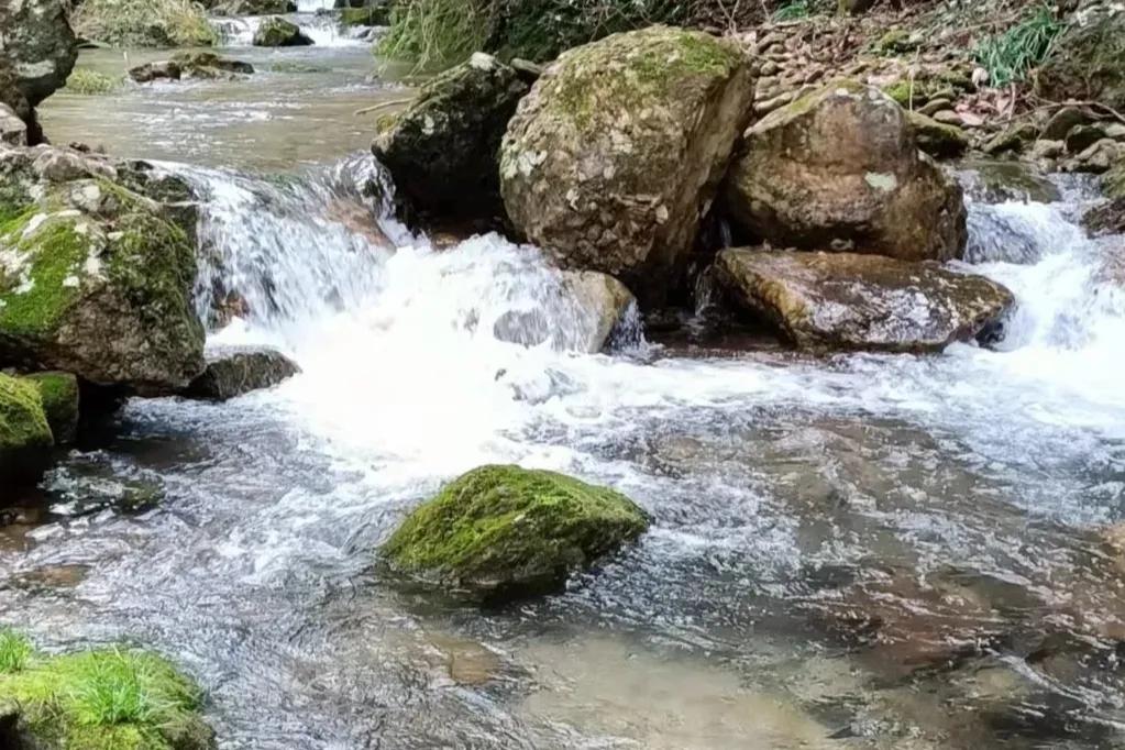 煞重命局身弱的人命运,煞重身轻的意思