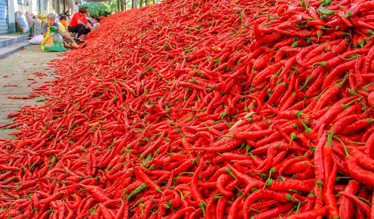 长期吃辣椒对高血压有影响吗,高血压吃辣椒对身体有影响吗