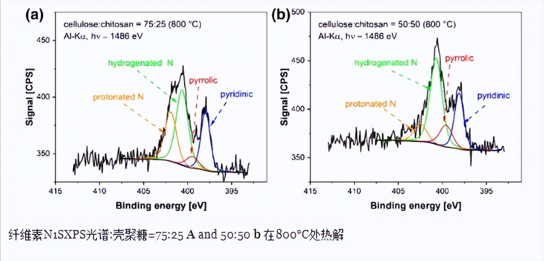 壳聚糖复合物的功效,壳聚糖复合物功效