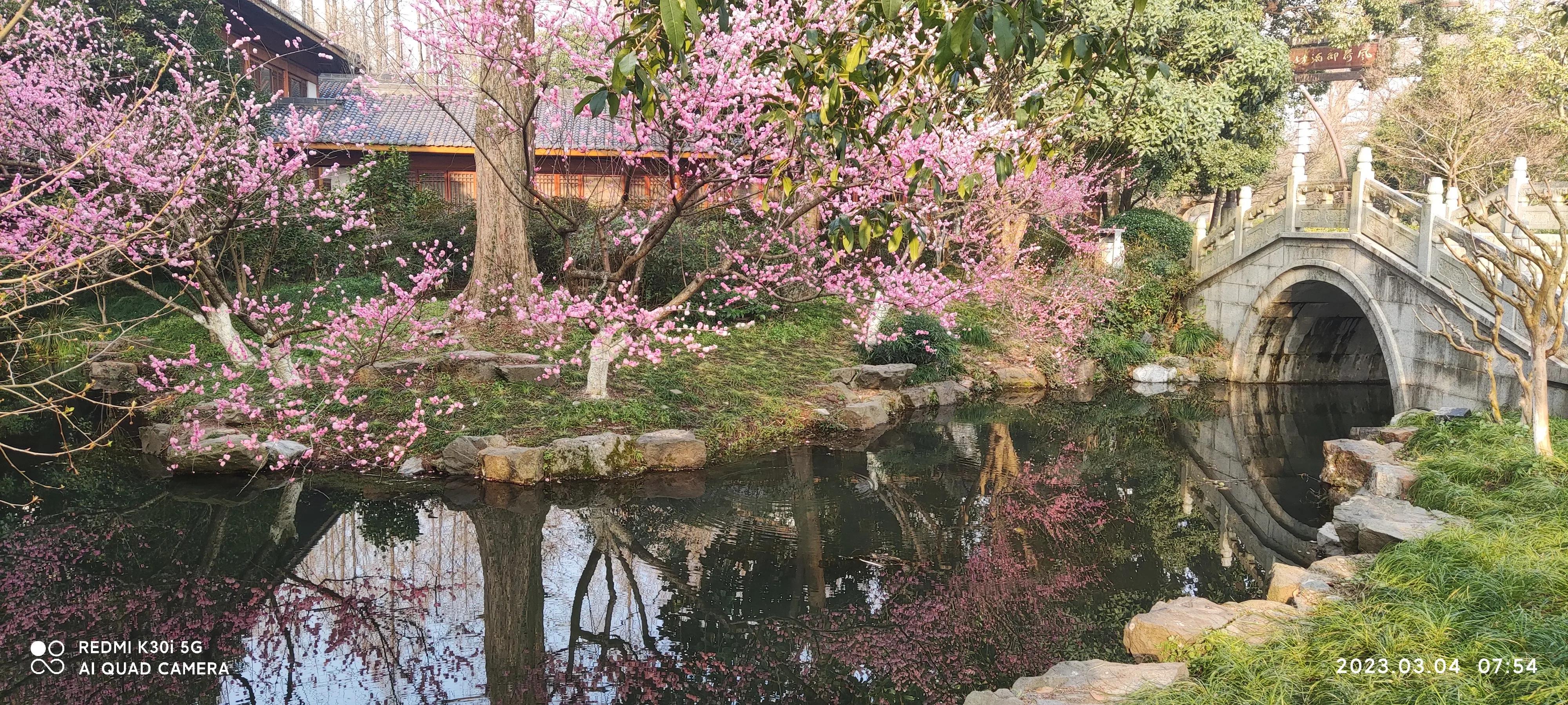曲院风荷和苏堤断桥的位置,走遍西湖旅游攻略