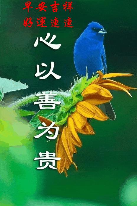 9月27日的早安心语及图片,2022年9月6日早安心语及图片