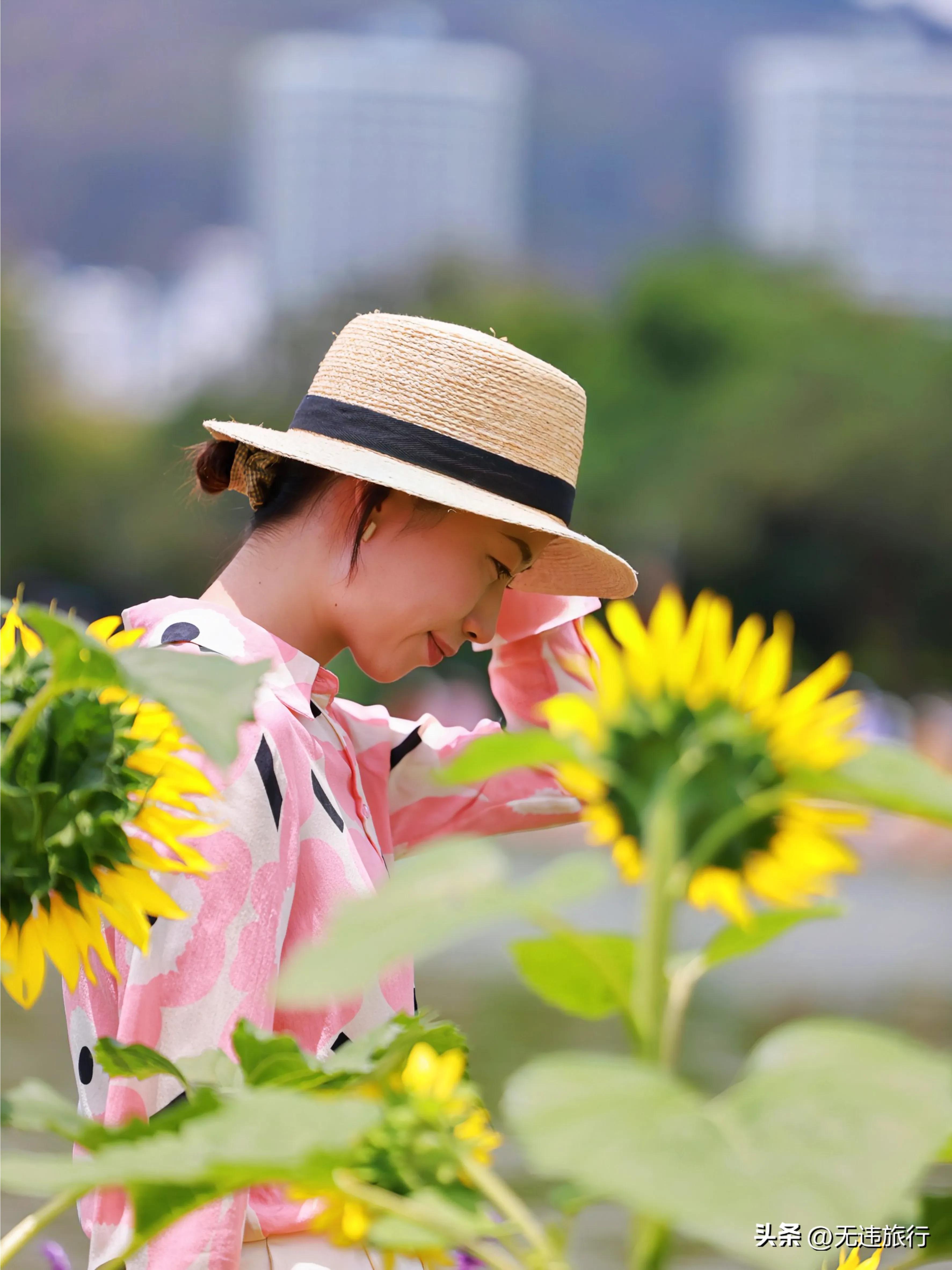 抚仙湖游一天游玩人数,抚仙湖一日游带什么