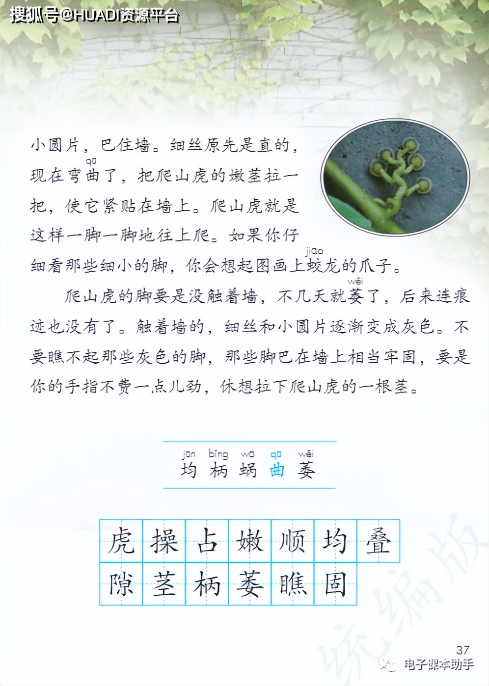 2022四年级下册语文电子版课本,四年级上册语文2021一2022期末卷