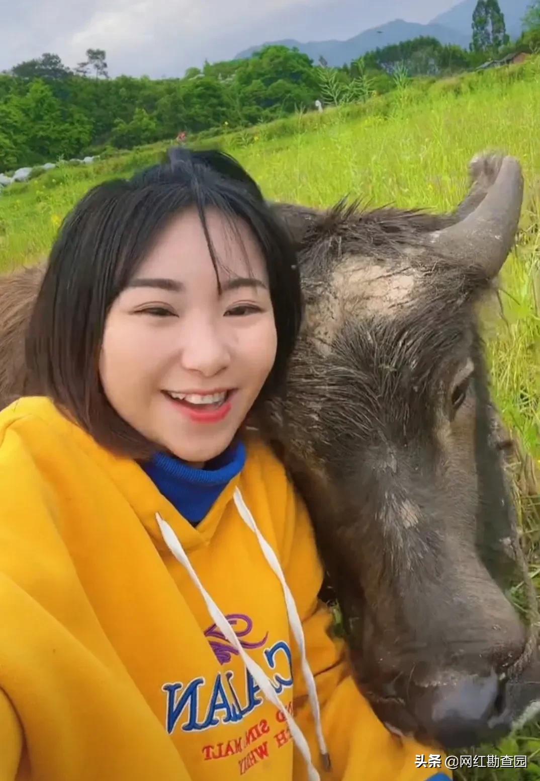 90后女孩把牛当宠物养，她对牛弹琴，网友送外号：牛郎织女