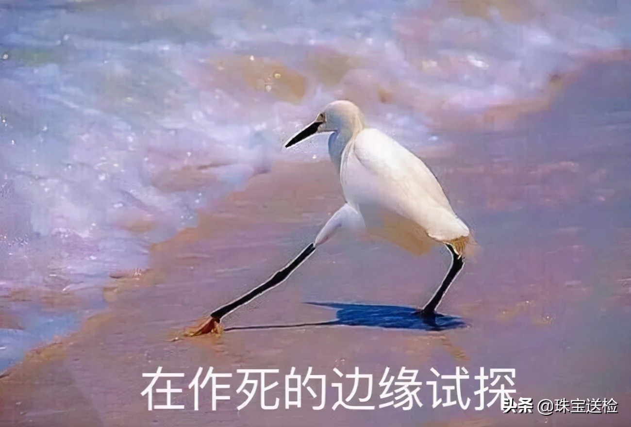 加拿大鹅双标,国际大牌lv