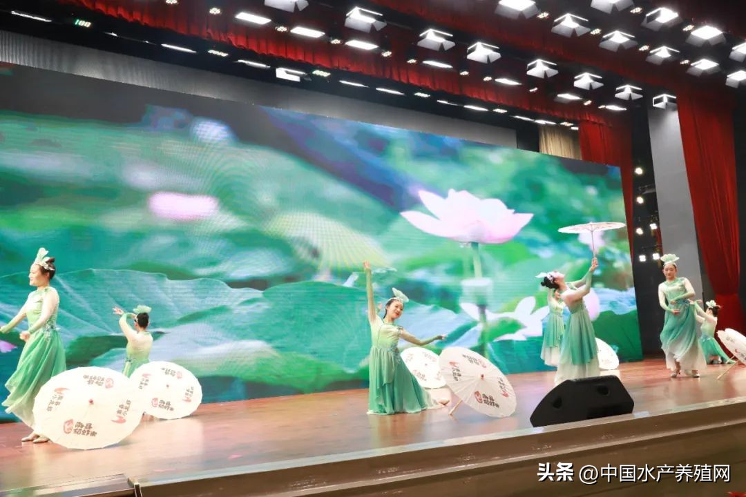 2023年南县小龙虾价格行情,南县小龙虾价格报价