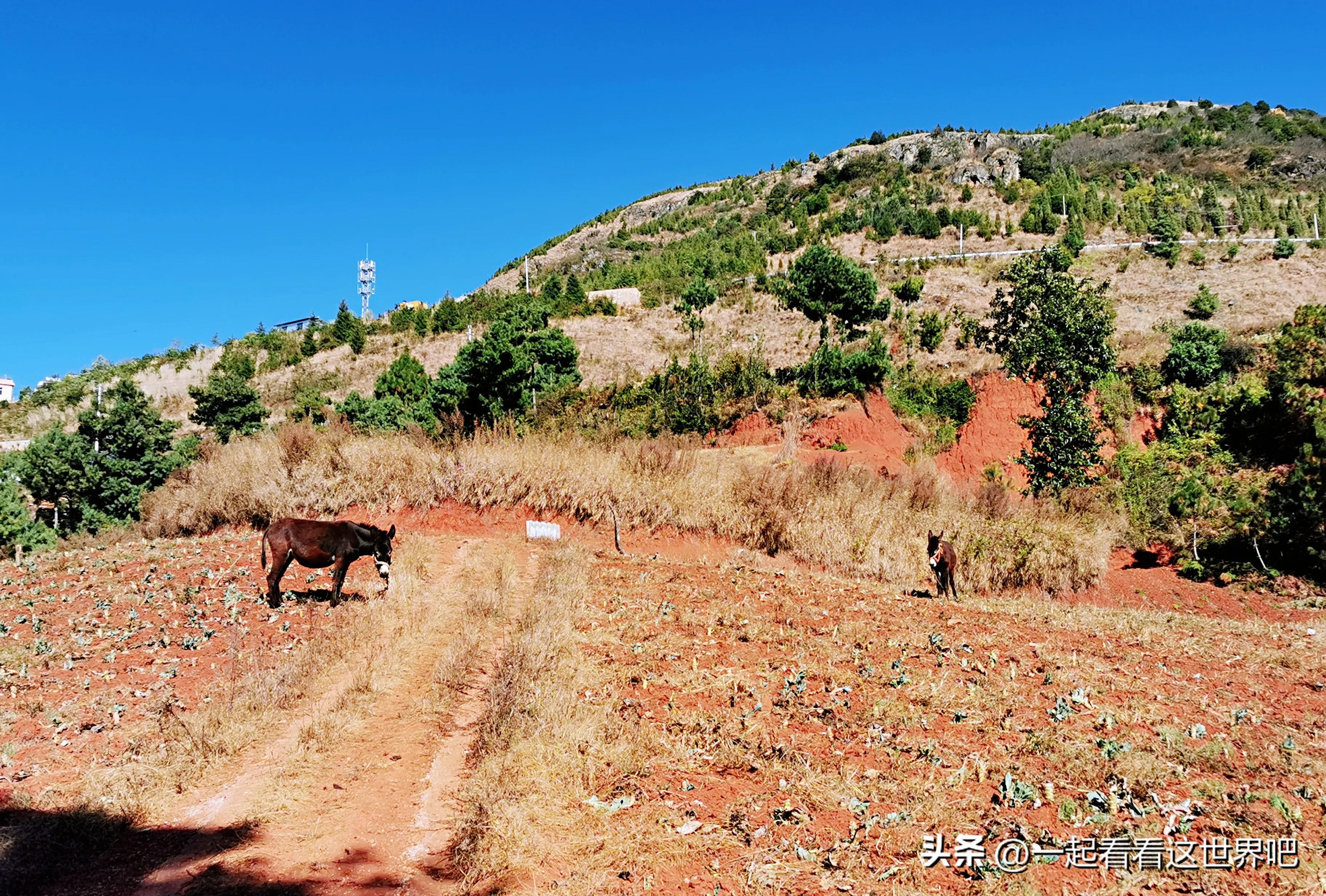 骑行昆明十峰之梁王山,昆明周边游玩景点梁王山