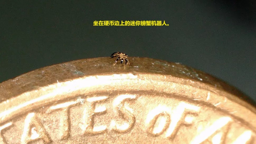 球状的螃蟹机器人,巨型螃蟹水下行走机器人