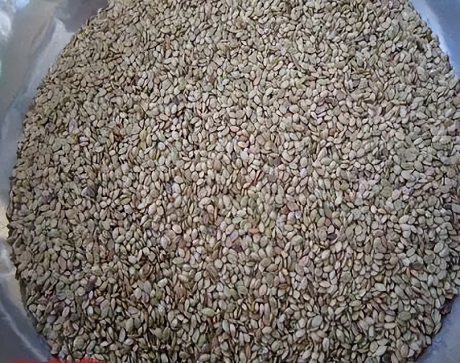 各种豆类杂粮大全,五谷杂粮中的豆类有哪些