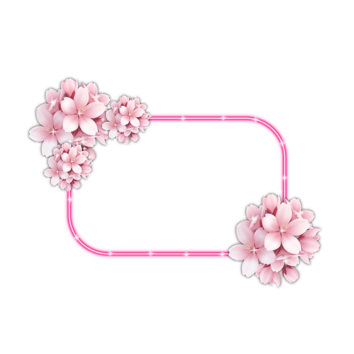 漂亮的彩色边框图片大全,好看的绿叶边框