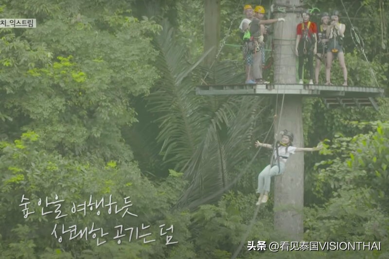 blackpink苏梅岛旅游,blackpink苏梅岛夜市选花