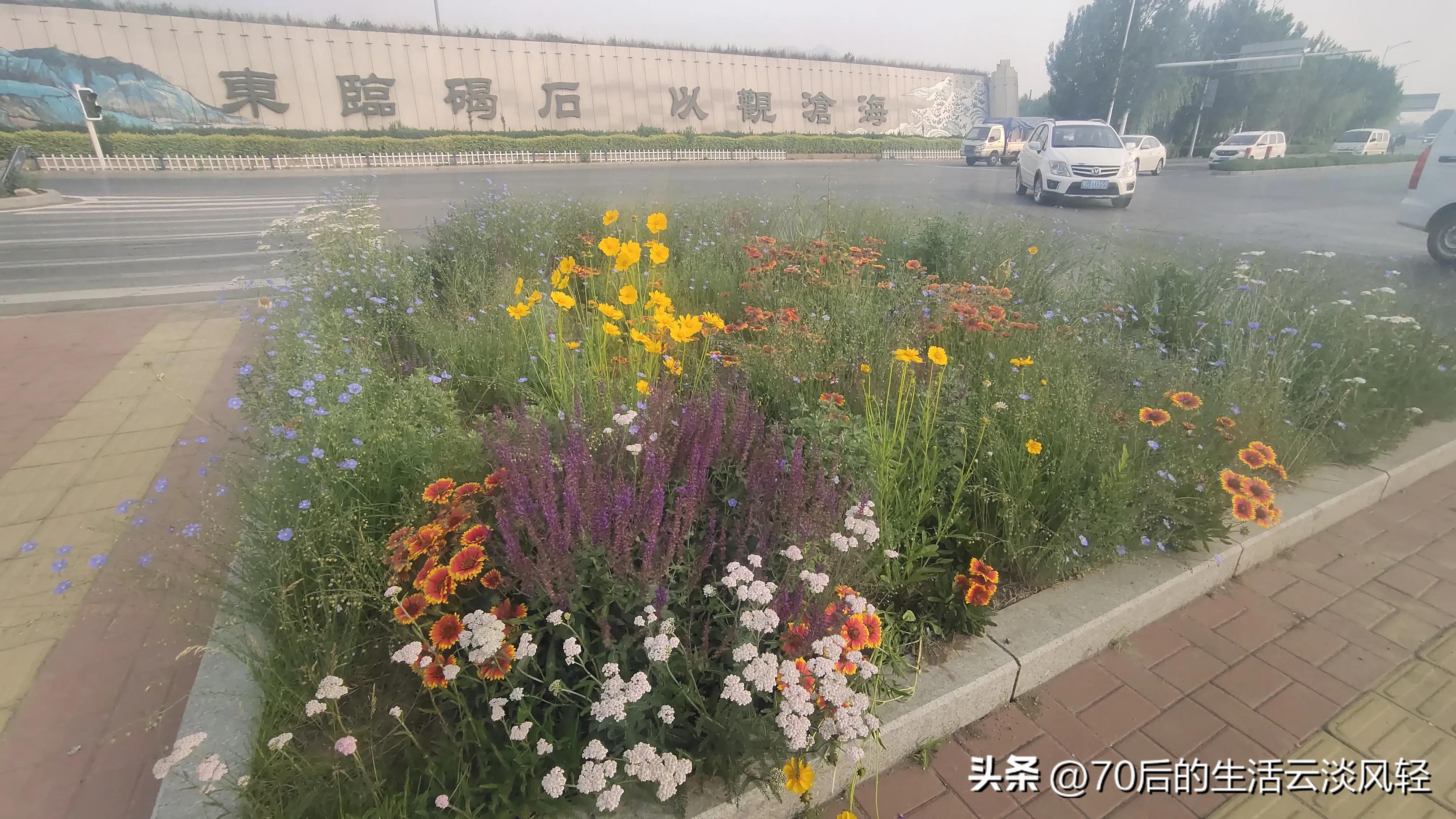 二十公里的路程,用脚步丈量一路的风景