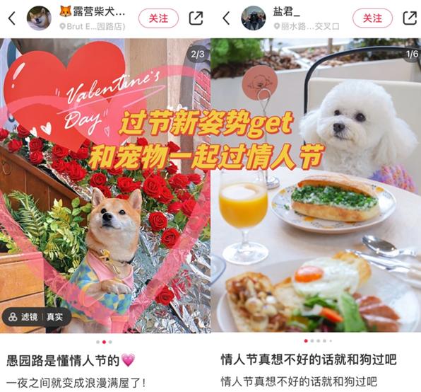 比起爱情更想给宠物花钱，情人节天猫国际宠物配饰增长近100%