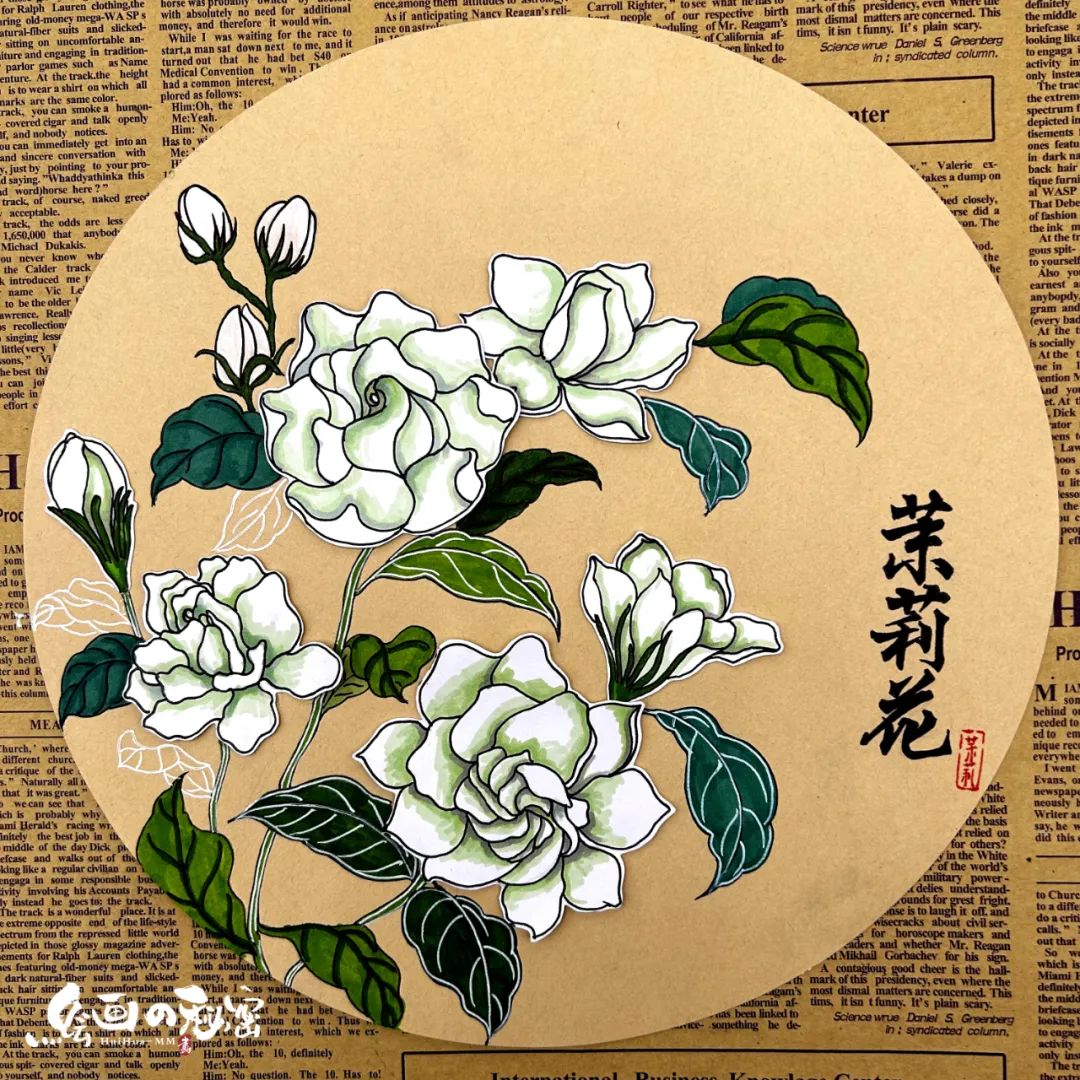 茉莉花开,茉莉花盆栽