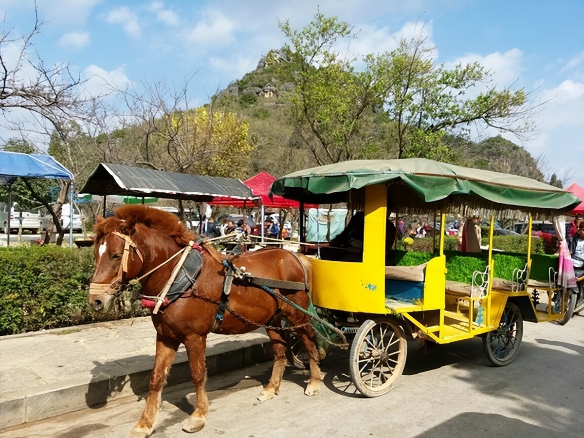 普者黑省旅游景点全攻略,普者黑风景区一天游玩攻略