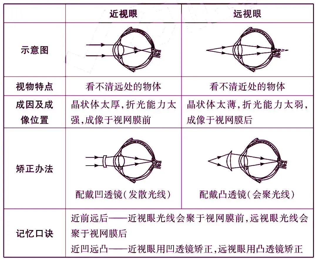 初中物理杠杆知识点归纳大全,初中物理物态变化必背知识点