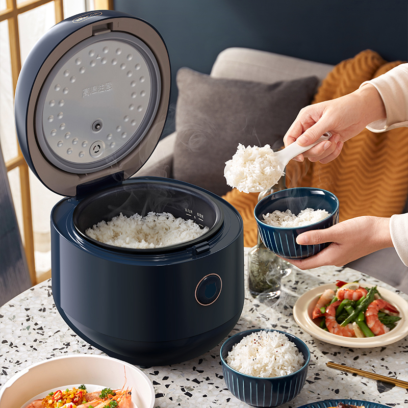 电饭锅内胆涂层脱落了还能使用吗,电饭锅内胆涂层脱落对人有害吗