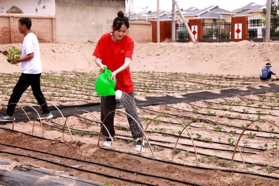 银川科技学院2021征集志愿三次,银川科技学院2023年征集志愿