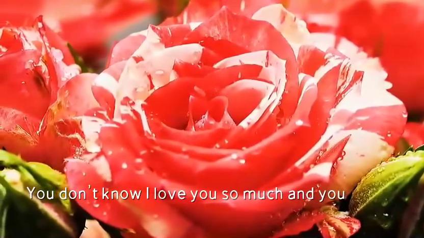 【夜听】我爱你，怎么办？